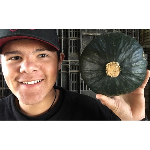 NEW SEASONS MEDIUM SIZE BUTTERCUP Each Northland Grown